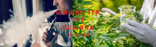 прущие крисы Ельня