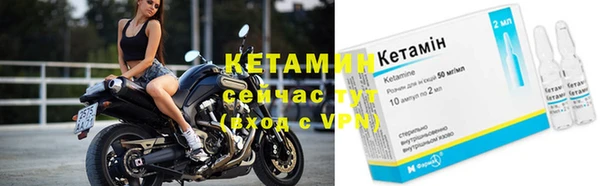 прущие крисы Ельня