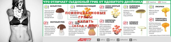 mdpv Елизово