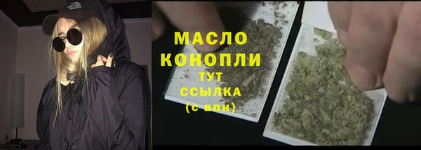 прущие крисы Ельня