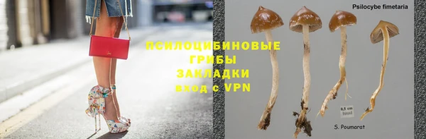 mdpv Елизово