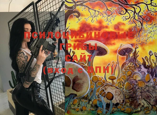 прущие крисы Ельня