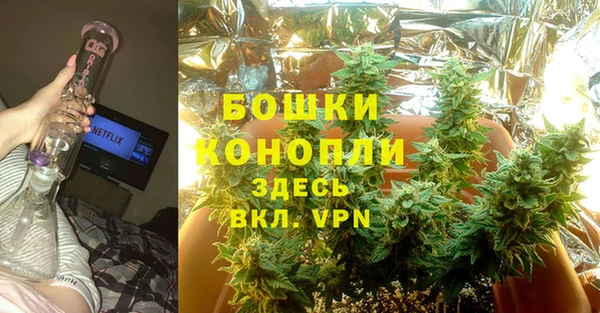 прущие крисы Ельня