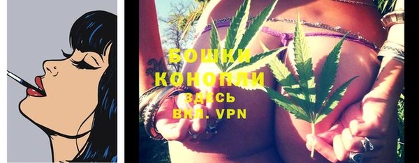 прущие крисы Ельня